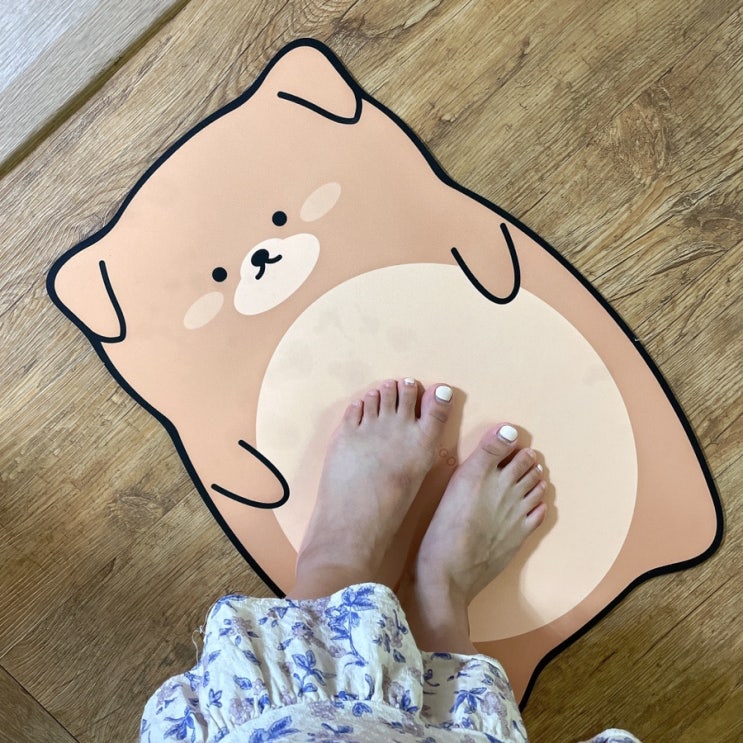  일상공감 흡수하족 진돌이 규조토발매트 인테리어 효과까지