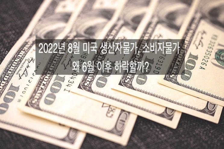  [미국9월선물옵션만기] 8월 미국 생산자물가와 소비자물가, 왜 6월 이후 하락할까?