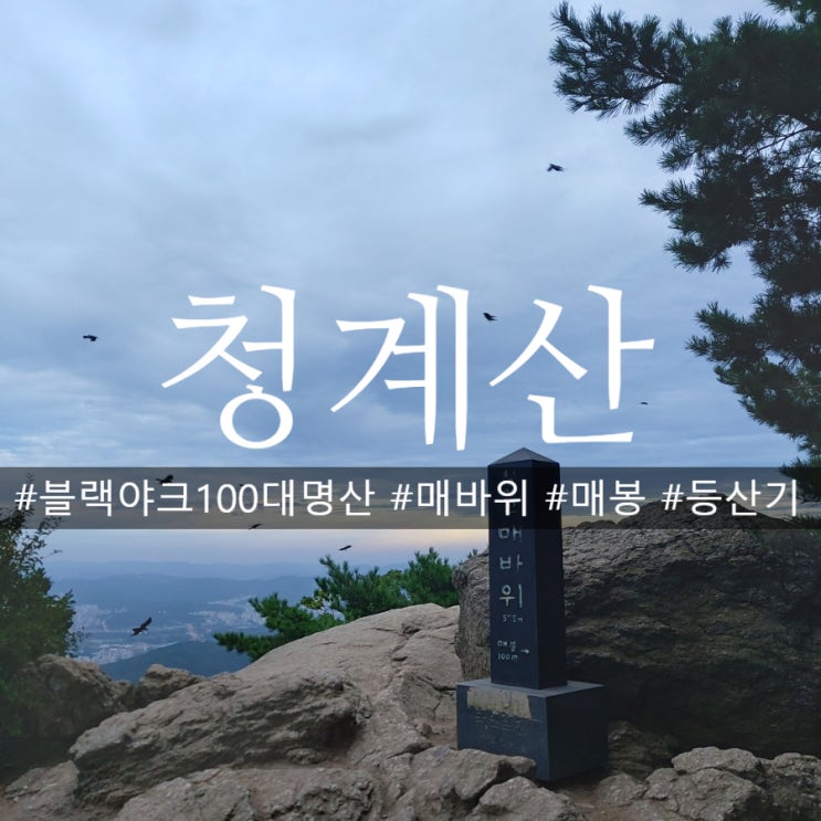  청계산 매봉 등산코스 전망대보다 예뻤던 매바위 등산기