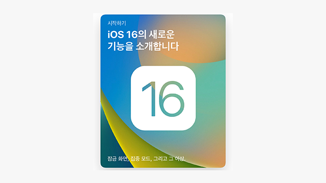  아이폰 13 IOS16 새로운 기능 기본 카메라 보정 복사 기능 사용해보기
