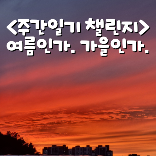 <주간일기 챌린지> 14주차 여름인가. 가을인가.