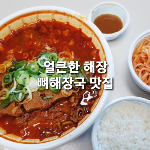  충주 방가삼대 얼큰한 뼈해장국 호암점 (완조리 포장)