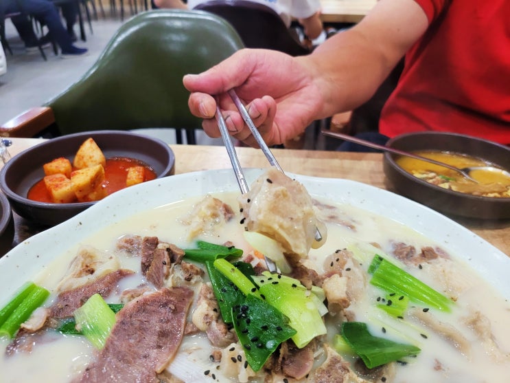  설렁탕 갈비탕 수육이 맛있는집 둔산동 수레면옥 다녀왔어요!