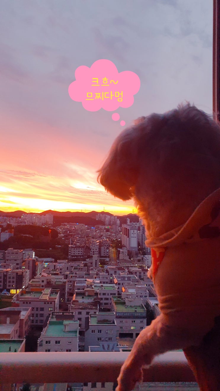  주간일기챌린지 vol.14