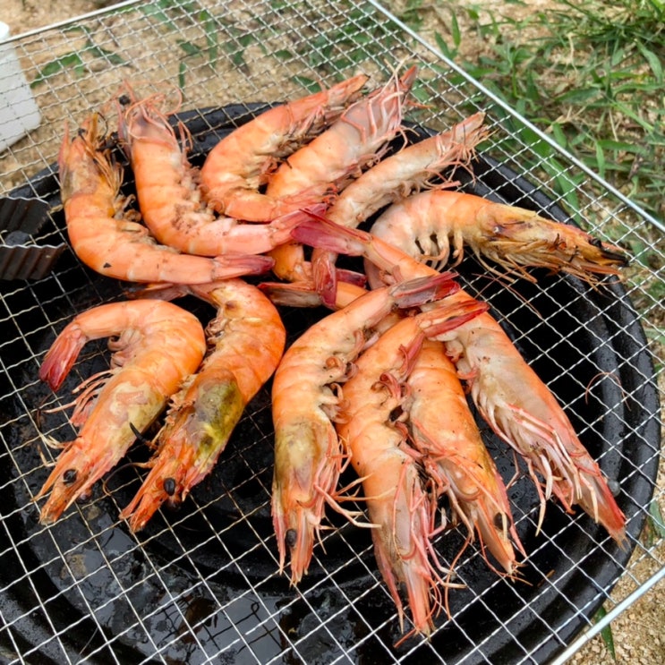  당진 대하 맛집 청록수산 포장 새우구이 회 칼국수 해먹기