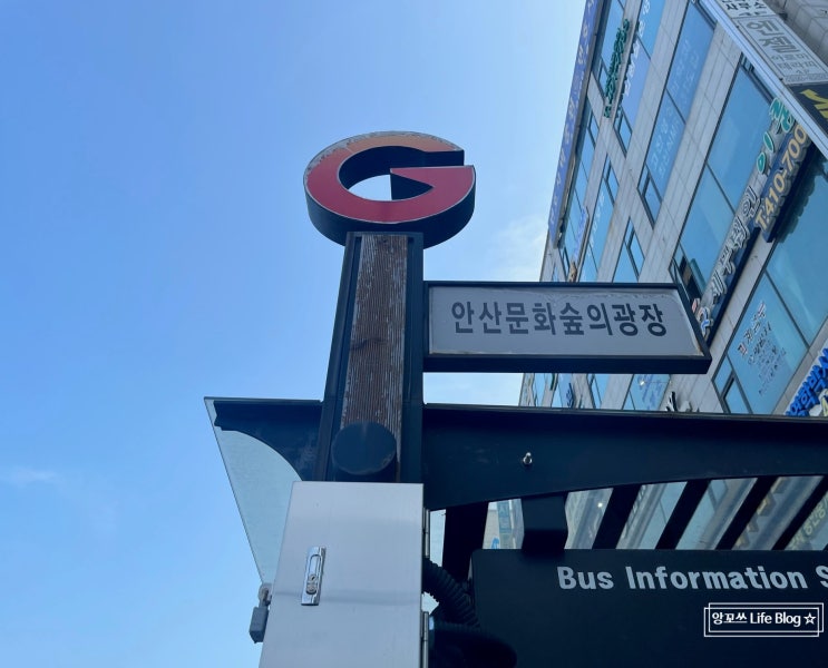  고잔동 임플란트, 고잔동 치과::정직한 진료를 약속하는 <라임프로치과>