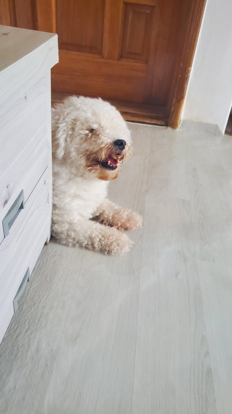 사진 2