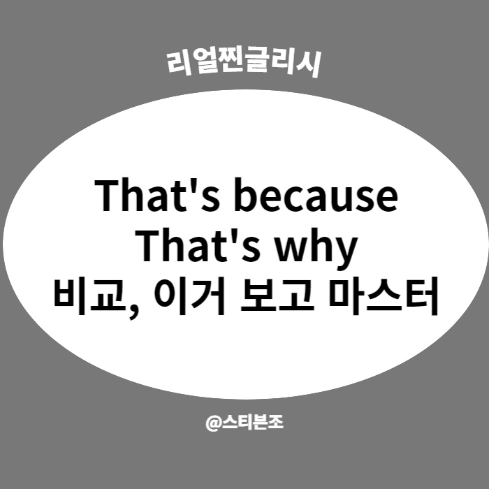  That's because, That's why 비교, 이거 보고 마스터