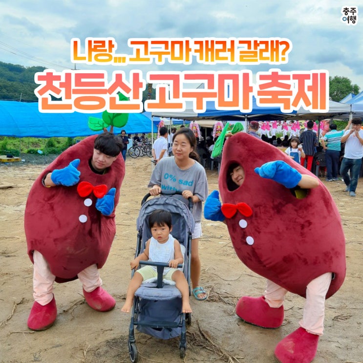 축제소식｜고구마 무료시식, 고구마 캐기 등등!! "충주 천등산 고구마 축제"에 놀러오세요!!