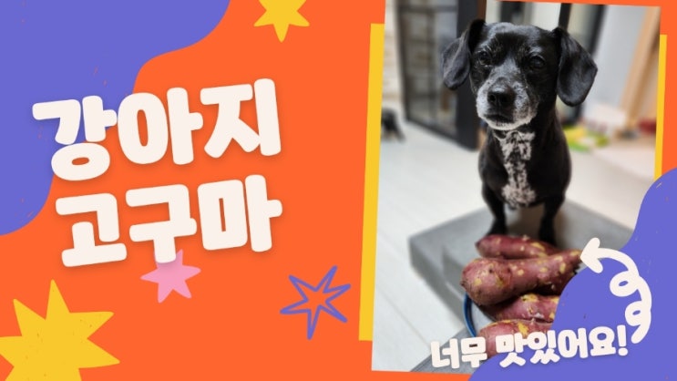 강아지 고구마 껍질 생고구마 먹어도 되나요 강아지 고구마 껍질 생고구마 먹어도 되나요