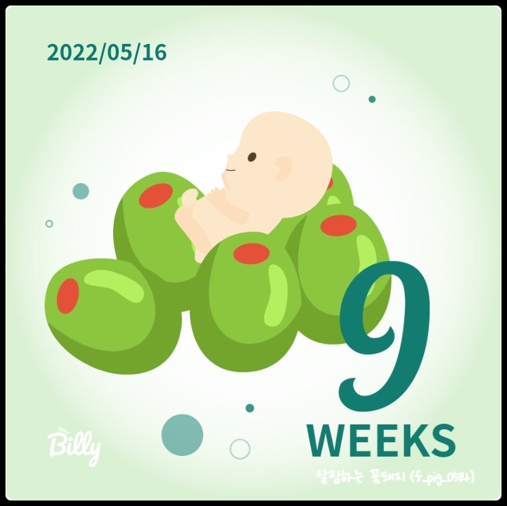 임신기록_ 임신 9주차 (보건소 임산부등록, 임신축하선물)
