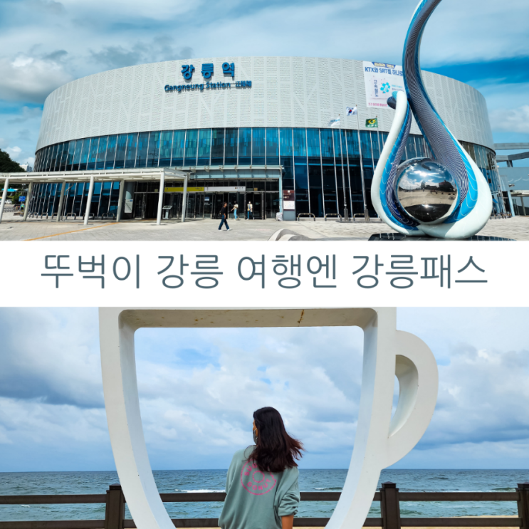  강릉투어패스 자차 없는 강릉여행자를 위한 여행 방법
