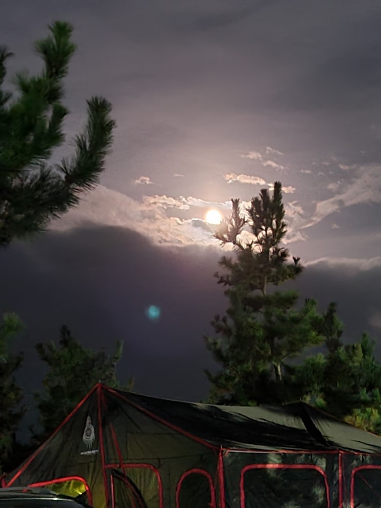 [주간일기-14]~ 9월 14일 - 보름달과 밤바다 풍경