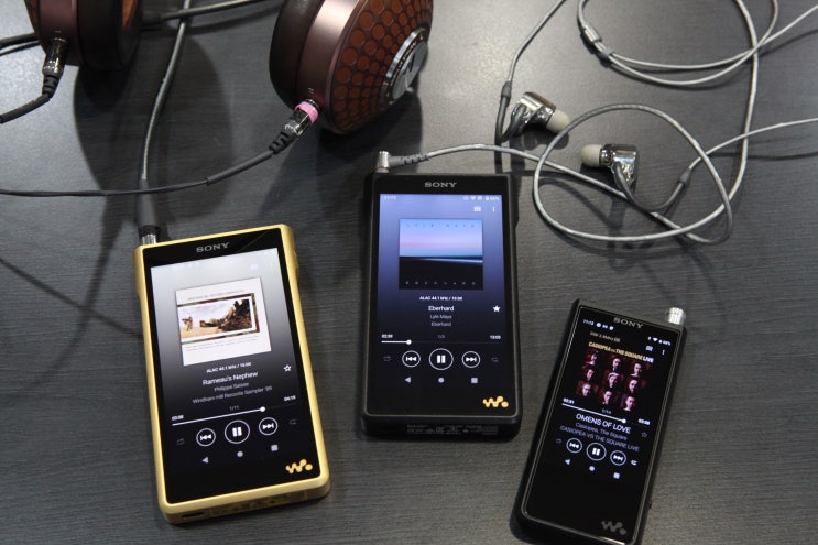 소니 워크맨 NW-WM1ZM2