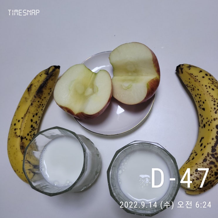  다이어트할땐 큰근육(대근육) 운동 하기