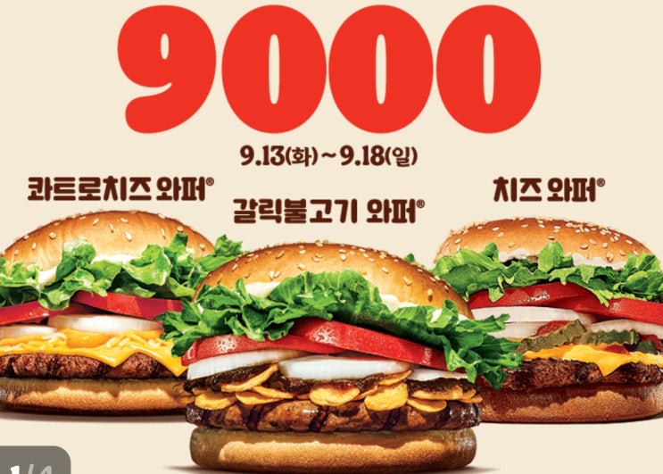 [버거킹 메뉴] 다양한 햄버거를 공짜로 먹는 방법