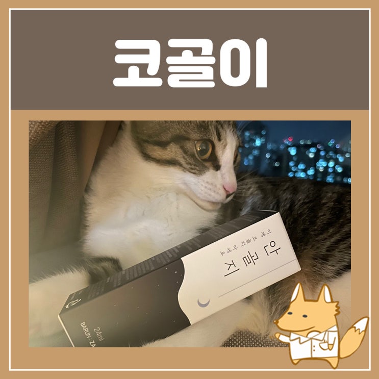  코골이 고치는법 : 코골이 원인 코안고는법 안골지, 심한 코골이 스프레이