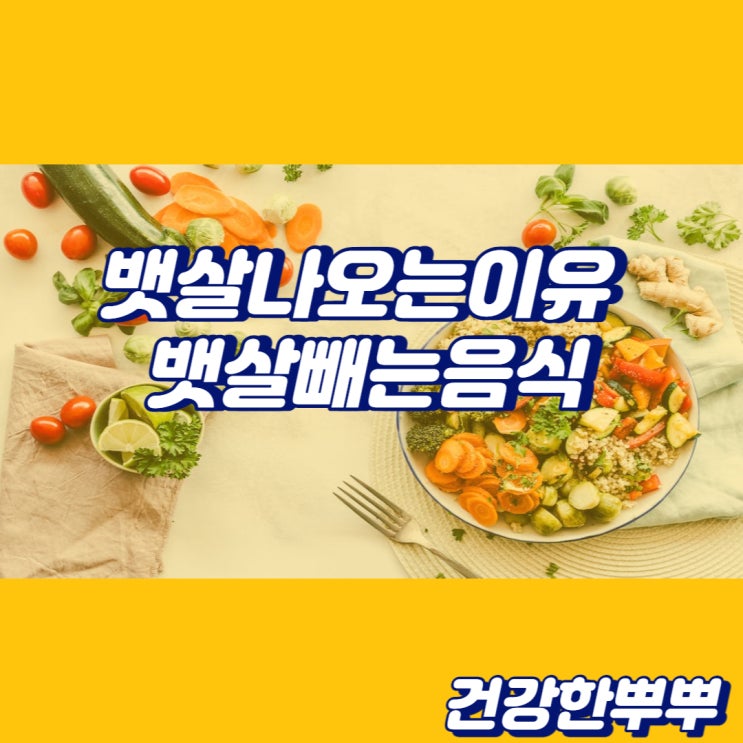  뱃살빼는음식 뱃살빠지는음식