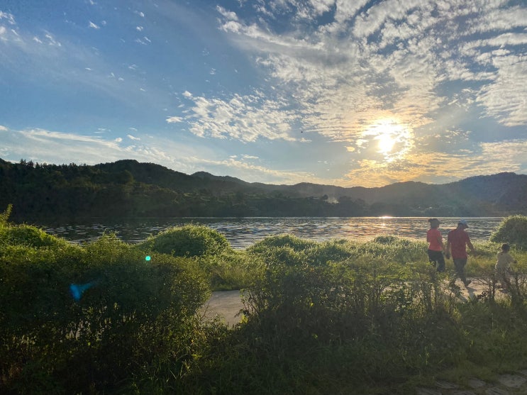  [블챌] 9월 3주차 : 추석, 블로그 누락