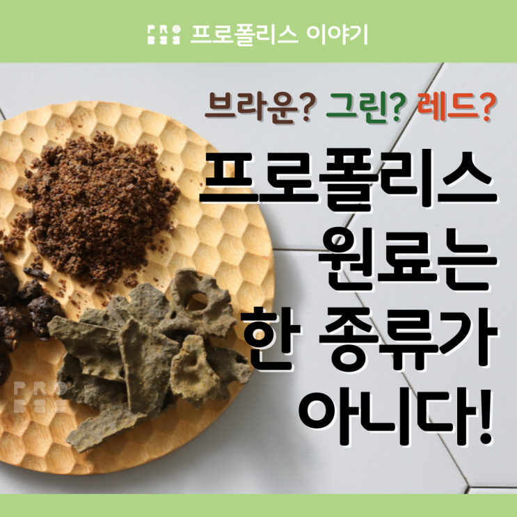  [브라운/레드/그린 프로폴리스] 프로폴리스 원료는 한 종류가 아니다