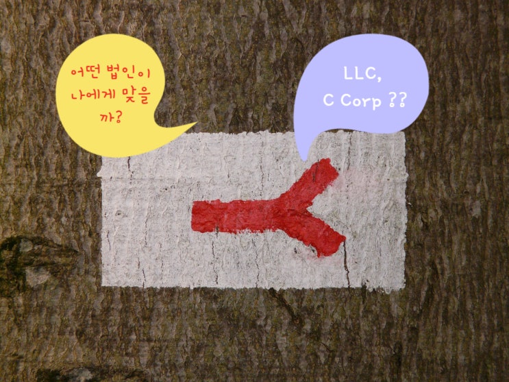  같이하는 미국사업 미국비지니스 - 4 (연락사무소 해외법인 현지법인)