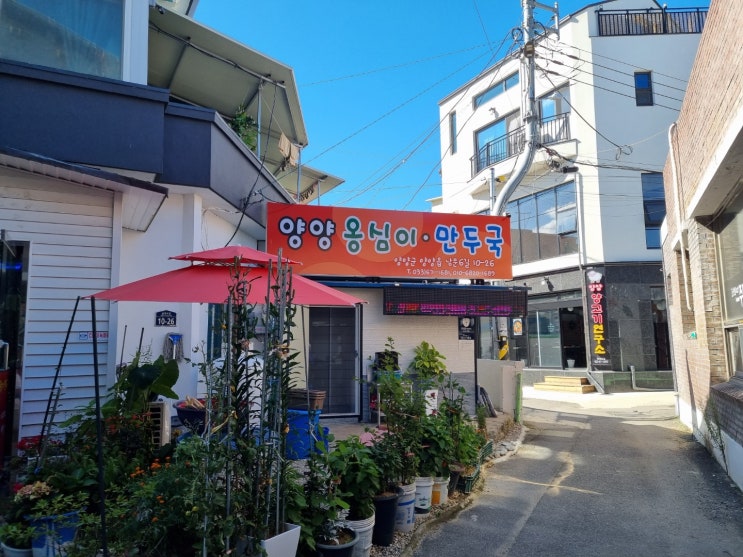 강원도 양양 전통시장에서 만난 양양 옹심이 만두국