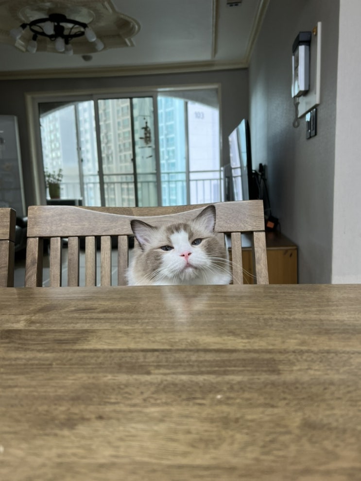  MZ세대에서 살아갈려면 말이야