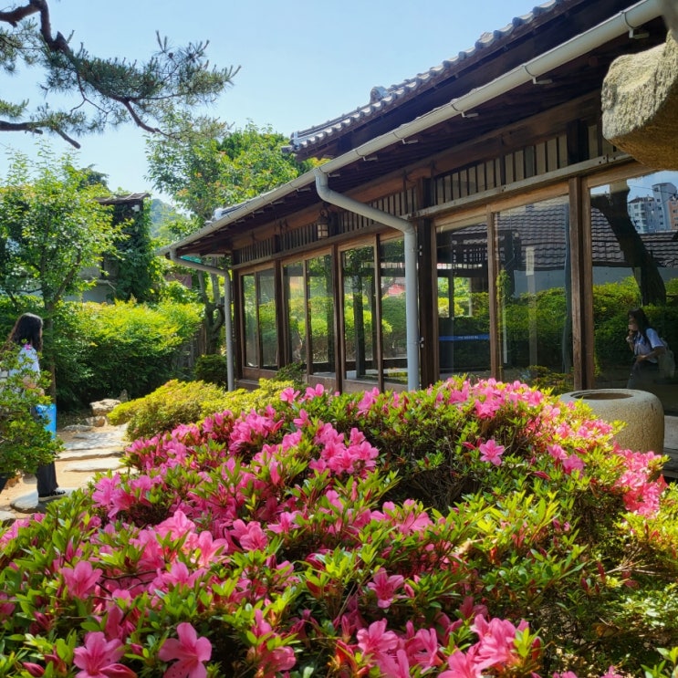  군산 여행 신흥동 일본식가옥, 게스트하우스 여미랑