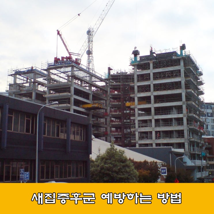  새집증후군. 새집증후군 예방법