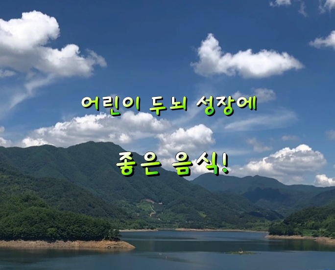 어린이 두뇌 성장에 좋은 음식! 어린이 두뇌 성장에 좋은 음식!