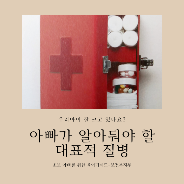  육아가이드/아빠가 알아둬야 할 대표적 질병(12~24개월)