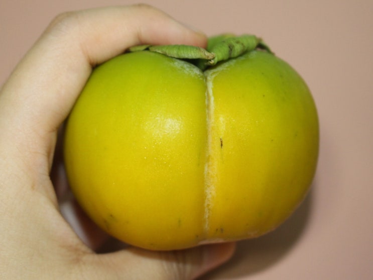  단감효능 칼로리 보관 감효능은?