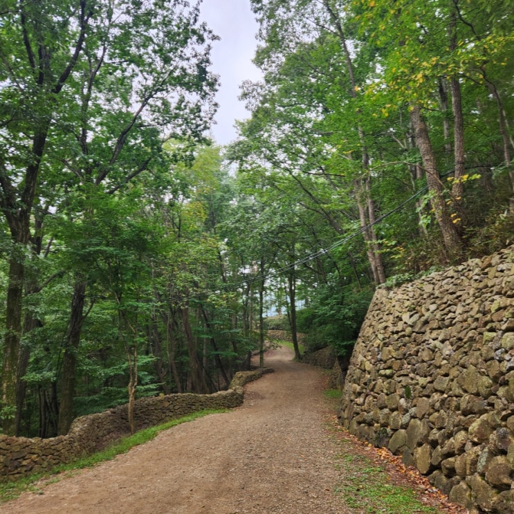  경남 하동 지리산 청학동 삼성궁 후기 (요금, 후기, TIP)