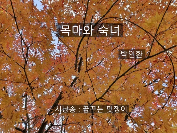  목마와 숙녀/박인환/꿈꾸는 멋쟁이 시낭송