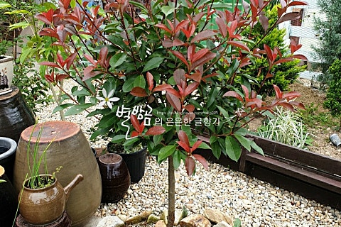 두가시 농장 이미지
