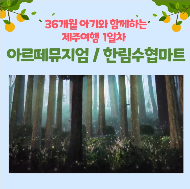  [아기와 제주여행 / 1일차-④] 아르떼뮤지엄 & 한림수협마트