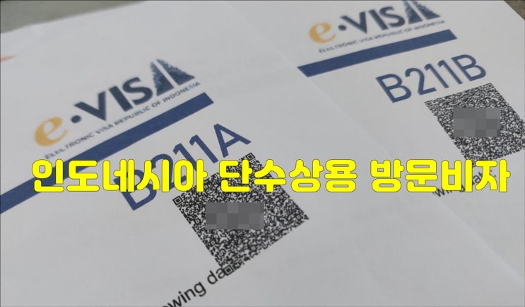  인도네시아 단수상용비자 b211 대행