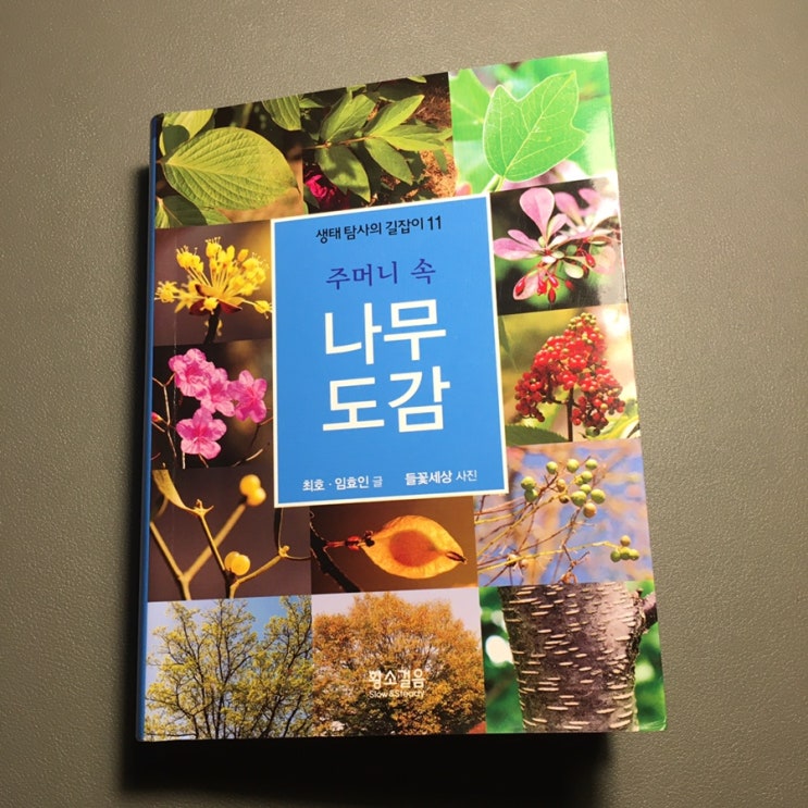  요즘 자주 보는 식물도감 추천