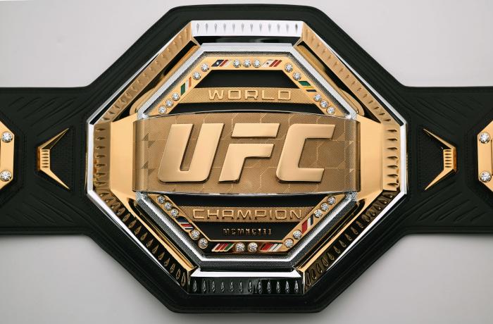  UFC 미들급 챔피언 총정리