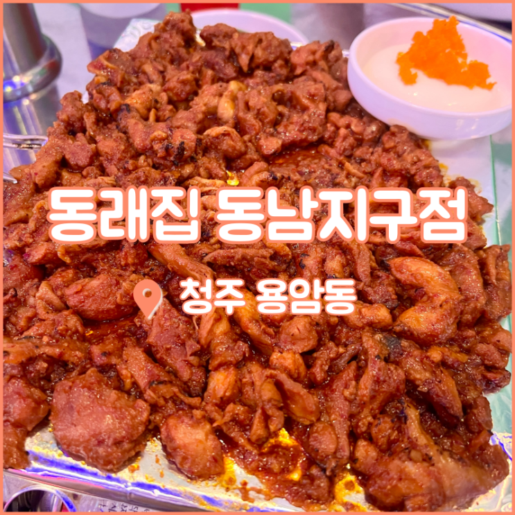  청주 동남지구 맛집, 닭구이가 맛있는 용암동포차 동래집