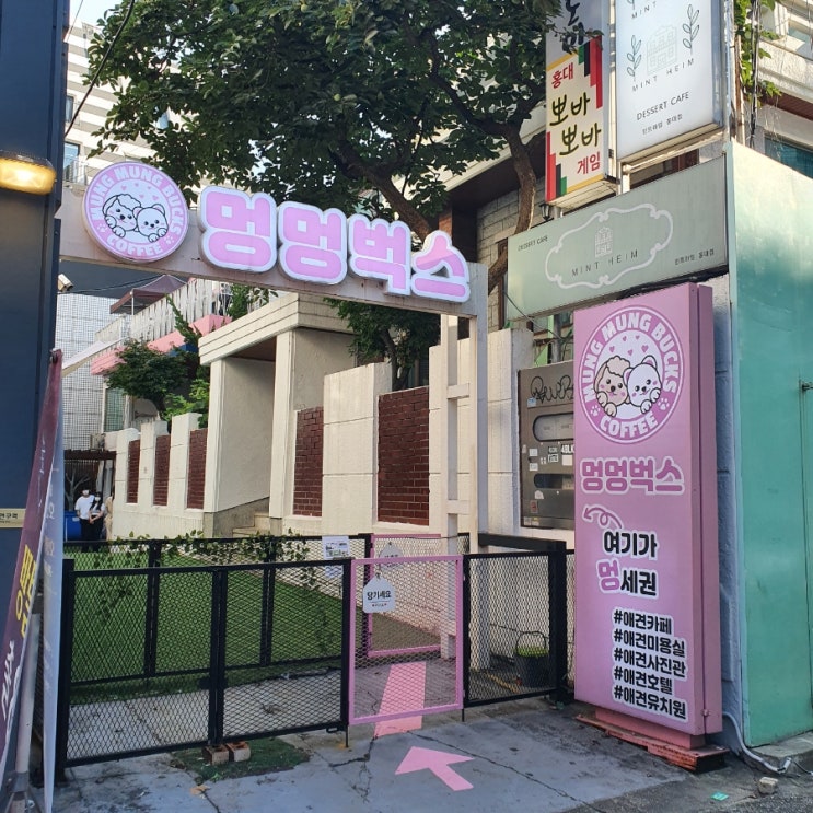 홍대 강아지수영장 멍멍벅스 후기! 실내야외 강아지 운동장