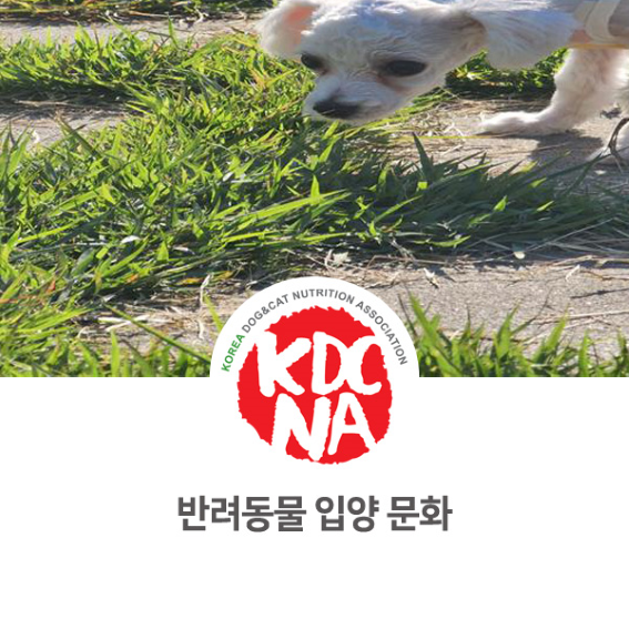  반려동물 전문 켄넬 입양 문화 알아보기 [한국반려동물영양협회/최수연펫푸드아카데미/펫푸드학원/수원/안산/안양/부천_1009]