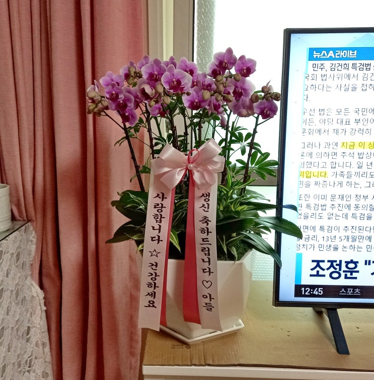  주엽이네 꽃집지기 블챌일기 9월 둘째 주