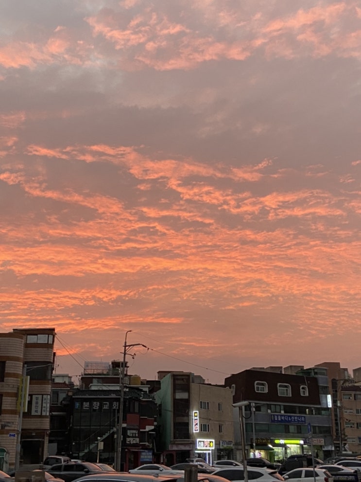  오늘,노을