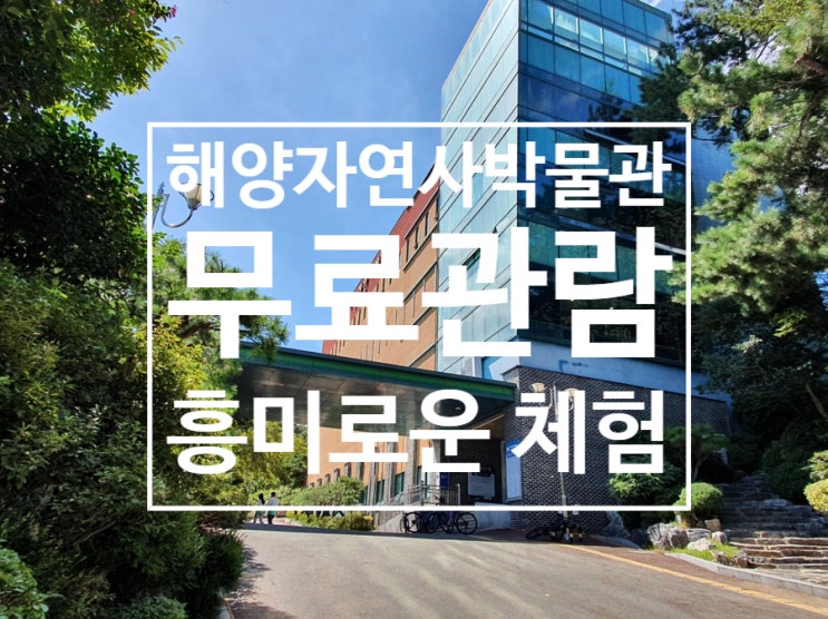  무료관람으로 신기한 체험가능한 [부산해양자연사박물관]