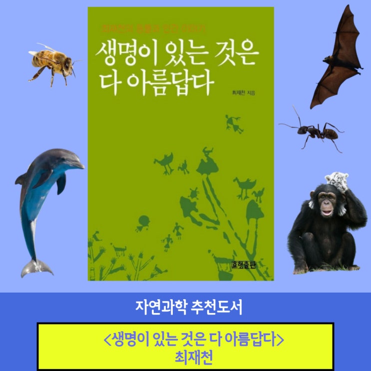  자연과학 추천도서 생명이 있는 것은 다 아름답다(최재천)