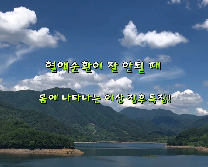 혈액순환이 잘 안될 때 몸에 나타나는 이상 징후특징! 혈액순환이 잘 안될 때 몸에 나타나는 이상 징후특징!