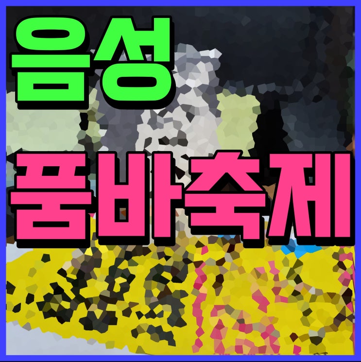  음성 품바축제 홍진영 축하 공연 댄스 뮤지컬 패션쇼까지