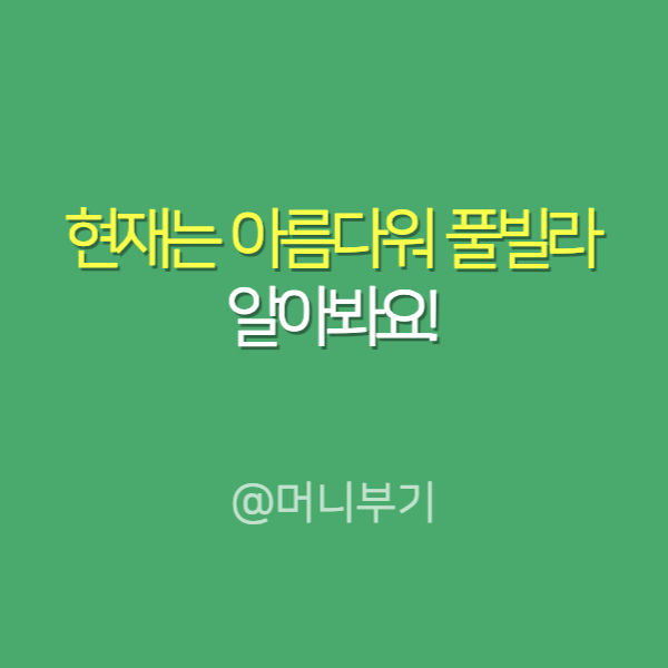 현재는아름다워풀빌라 촬영지 어디? 펜션 신혼여행 으로 딱!