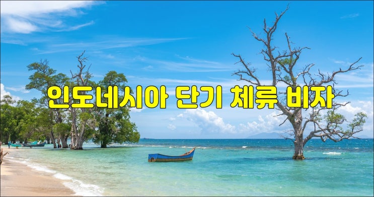  인도네시아 단기 체류비자 대행